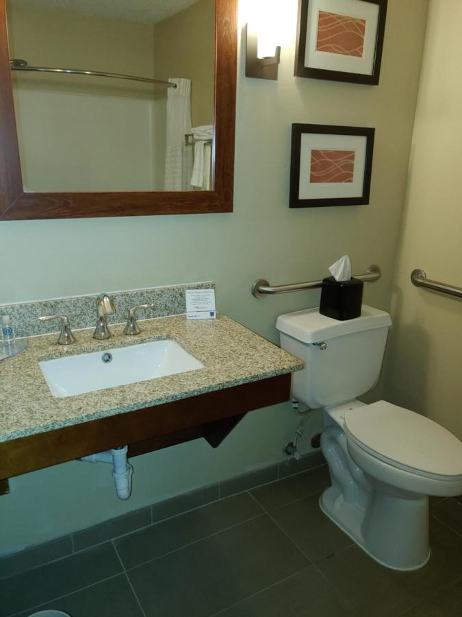 Queen Room - Accessible/Nonsmoking at Comfort Inn Idaho Falls I-15