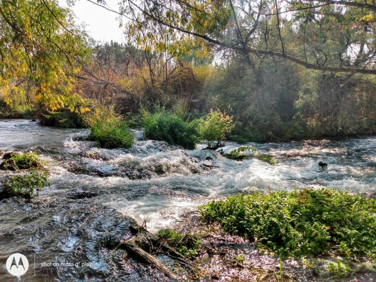  | Billingsley Creek