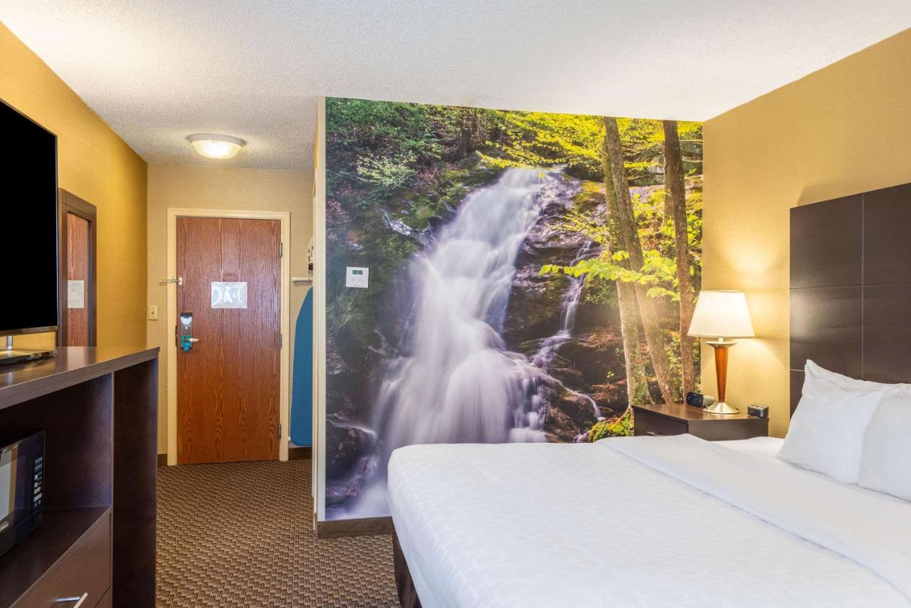 King Room with Roll in Shower - Mobility Accessible/Non-Smoking at Clarion Pointe Harrisonburg