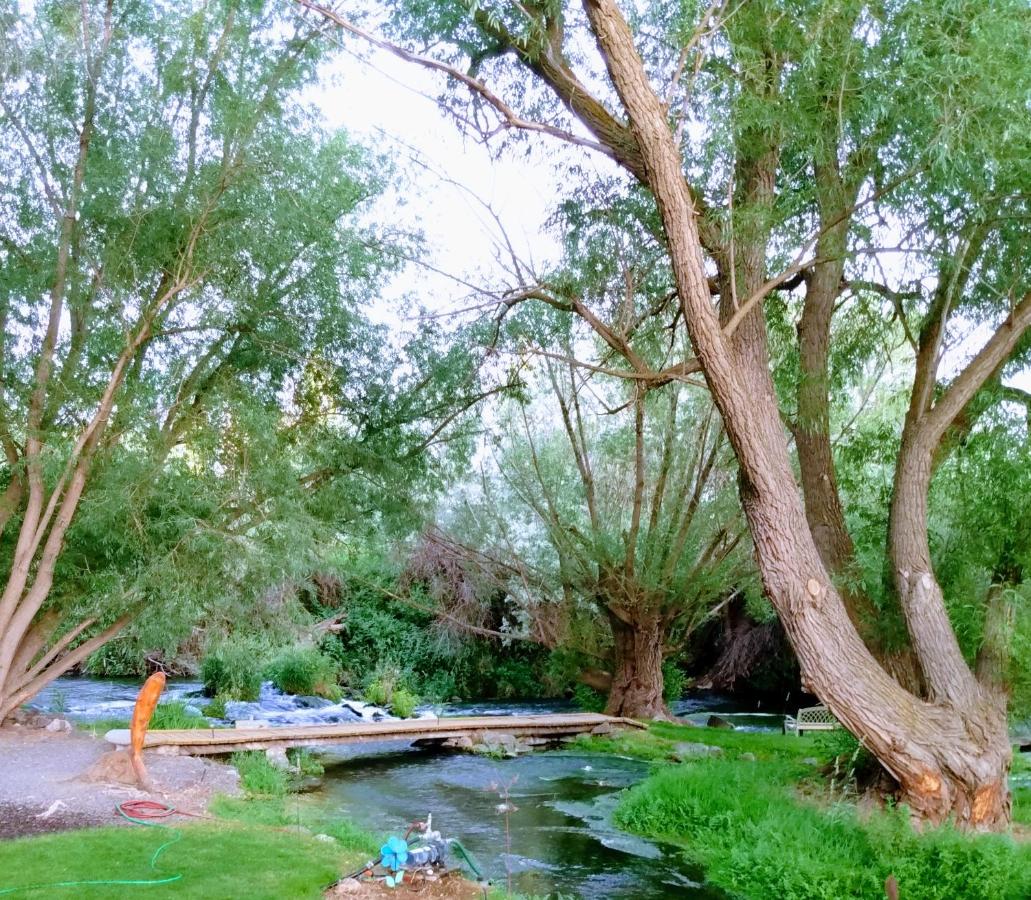  | Billingsley Creek
