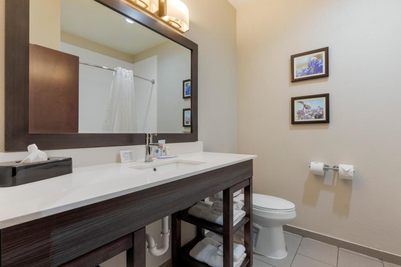 | Comfort Inn & Suites Balch Springs - SE Dallas
