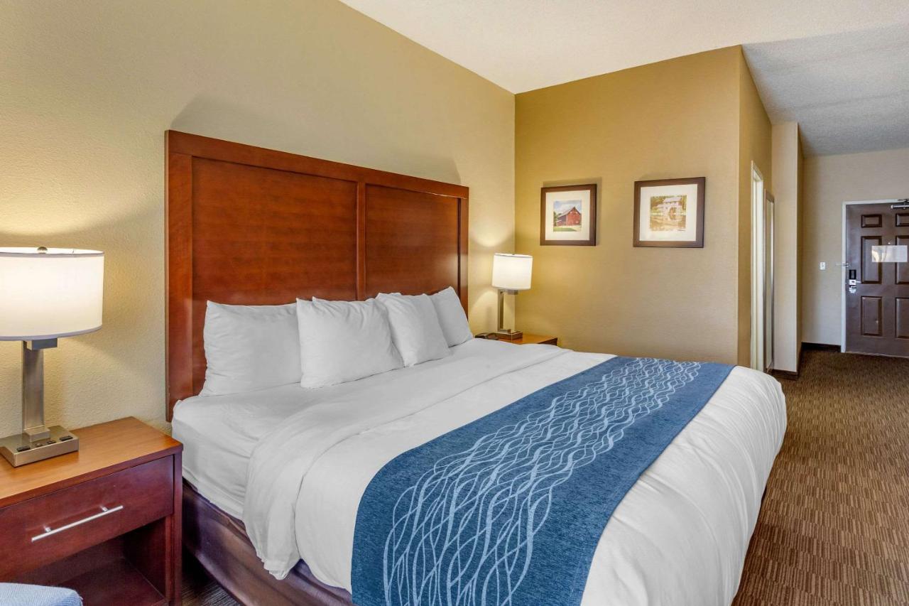 King Room - Non-Smoking at Comfort Inn Rockford near Casino District