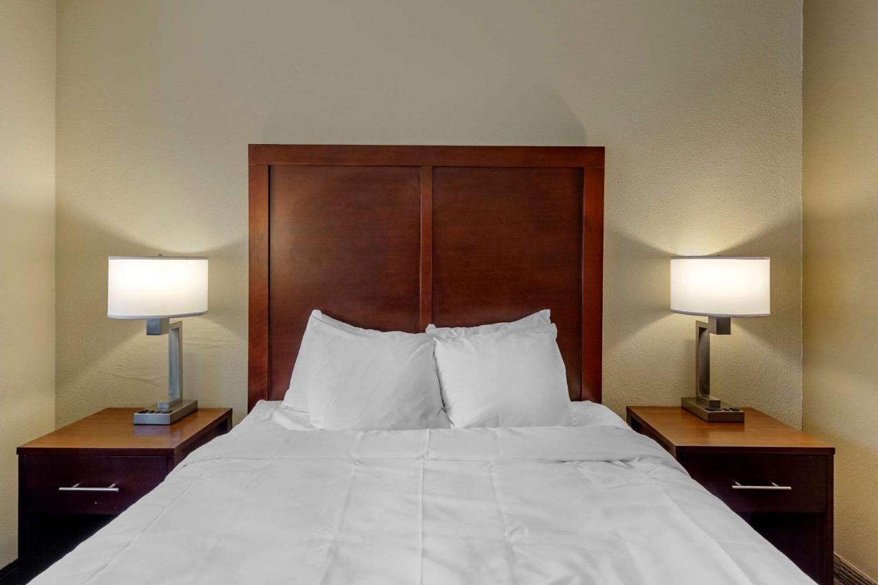 Queen Room with Roll-In Shower - Accessible/Non Smoking at Comfort Inn Rockford near Casino District