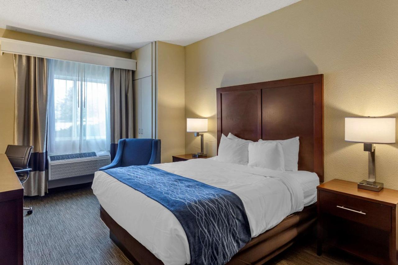 Queen Room with Roll-In Shower - Accessible/Non Smoking at Comfort Inn Rockford near Casino District