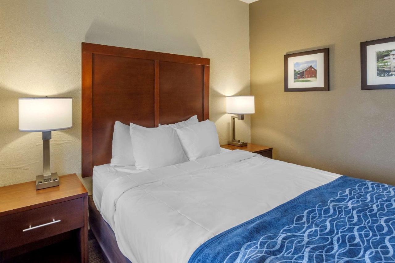 Queen Room with Roll-In Shower - Accessible/Non Smoking at Comfort Inn Rockford near Casino District