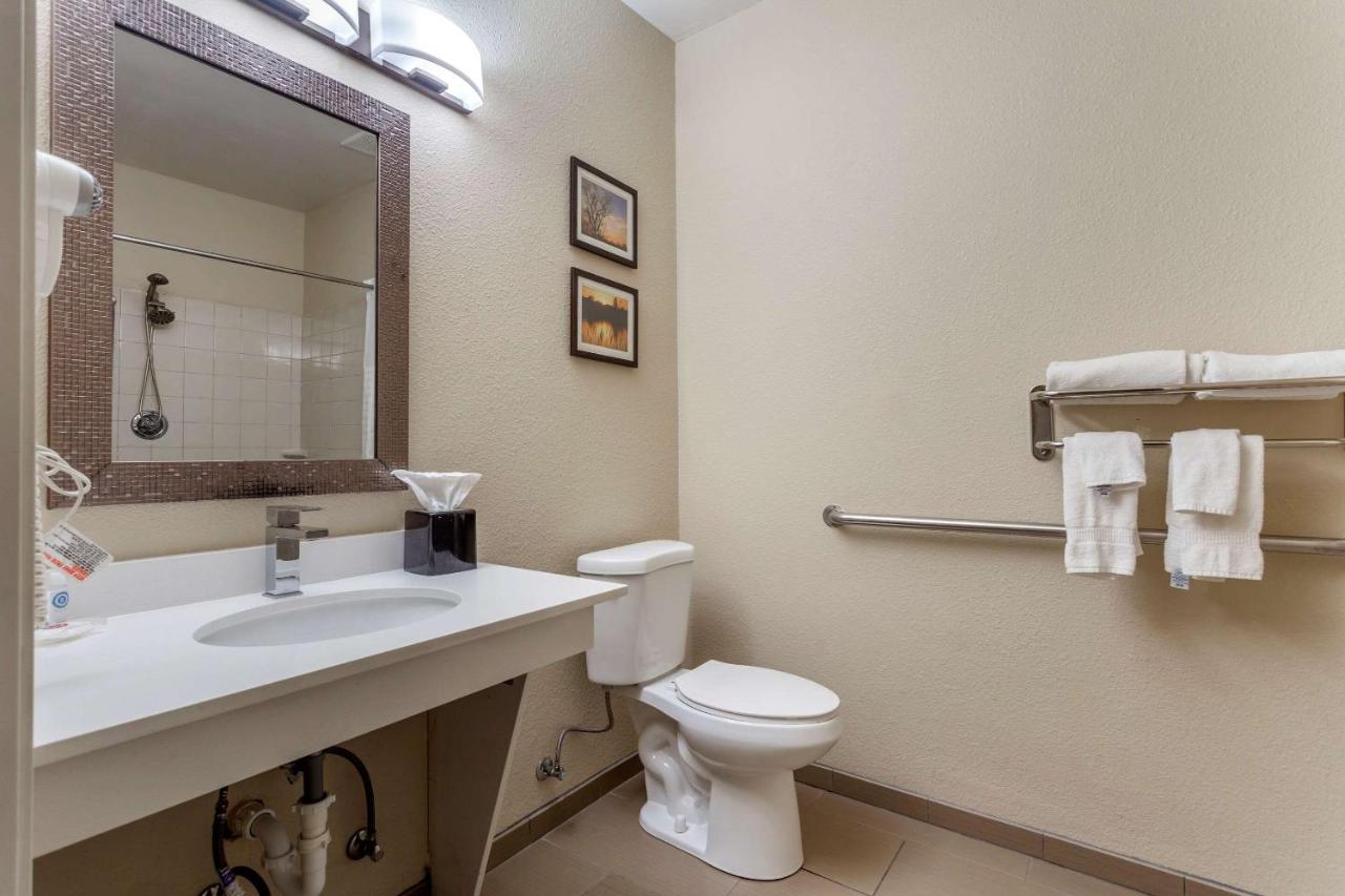 Queen Room with Roll-In Shower - Accessible/Non Smoking at Comfort Inn Rockford near Casino District