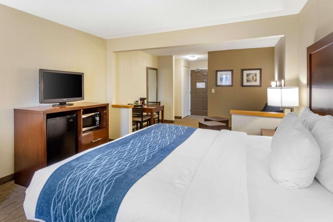 King Suite - Non-Smoking at Comfort Inn Rockford near Casino District