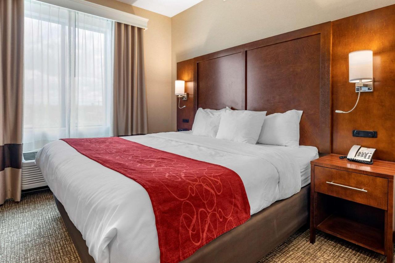 King Suite - Disability Access/Non-Smoking at Comfort Suites Columbus Airport