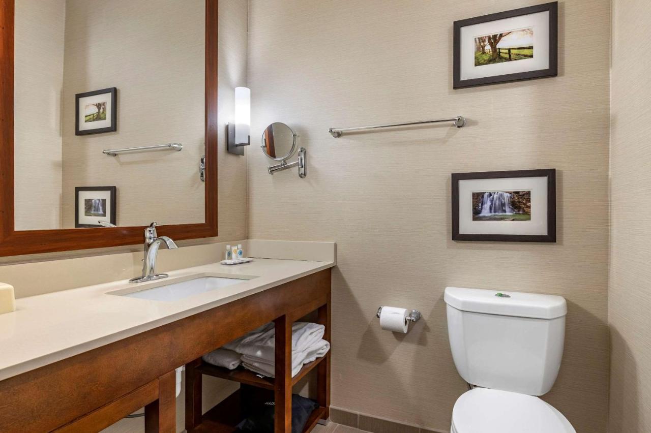 King Suite - Non-Smoking at Comfort Suites Columbus Airport