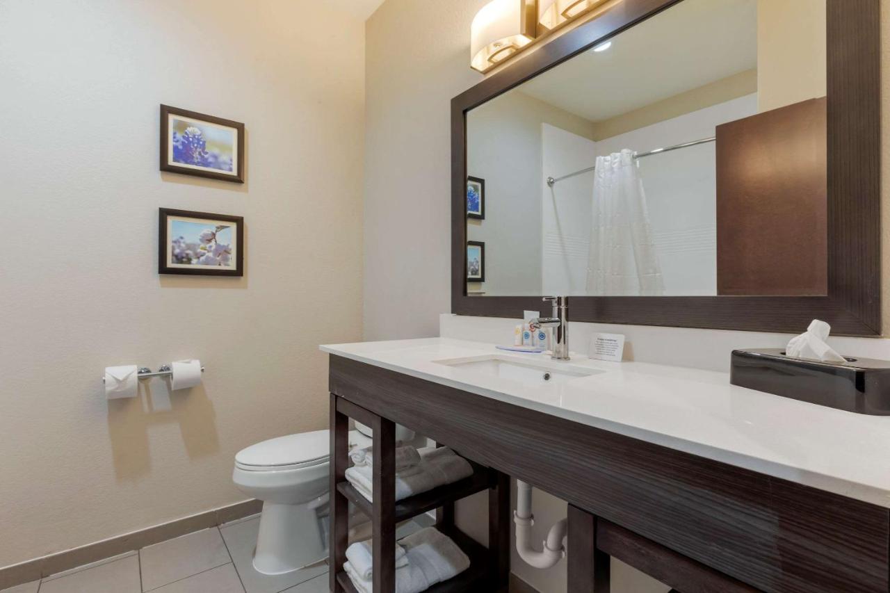 | Comfort Inn & Suites Balch Springs - SE Dallas