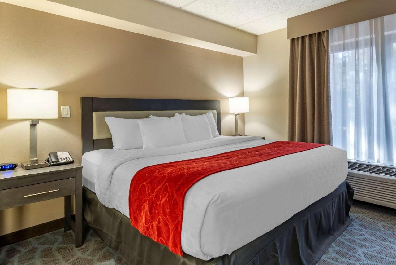 | Comfort Suites Alpharetta - Roswell - Atlanta Area