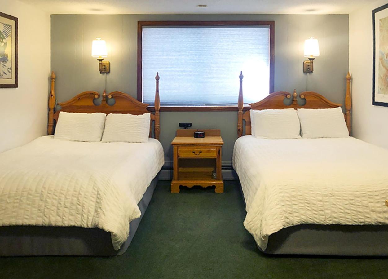 Standard Queen Room - Ground Floor at Tyrolean Lodge
