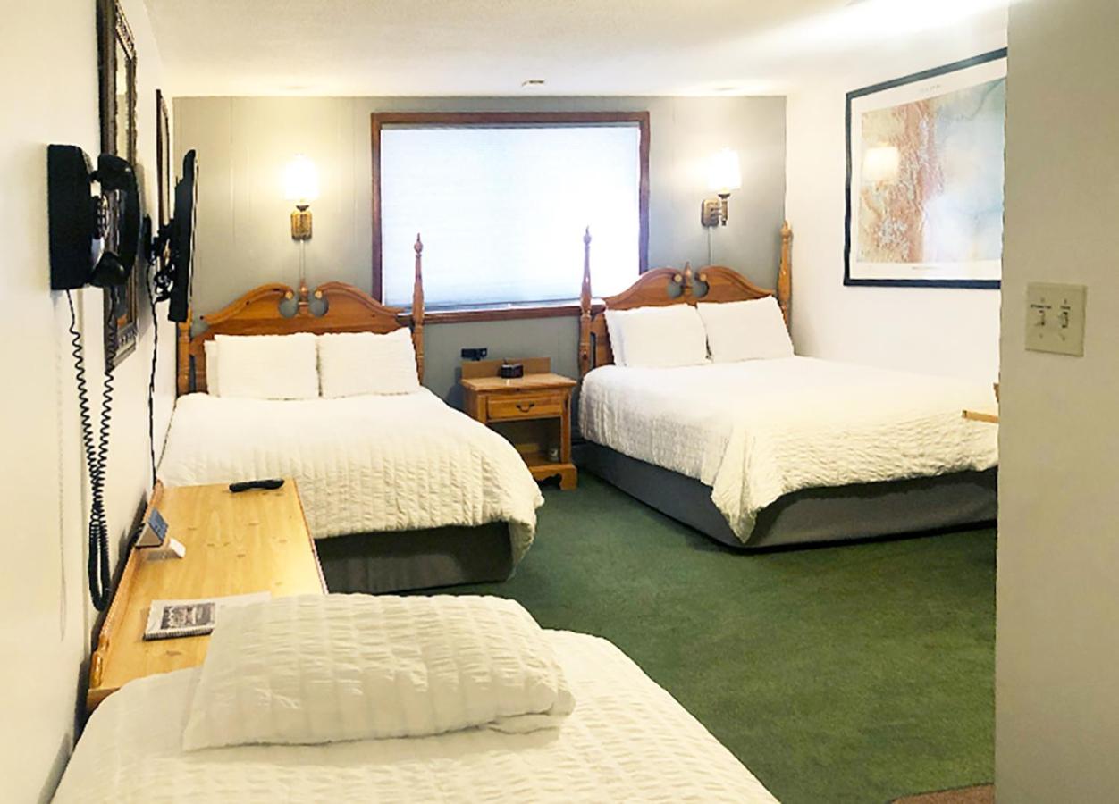 Standard Queen Room - Ground Floor at Tyrolean Lodge