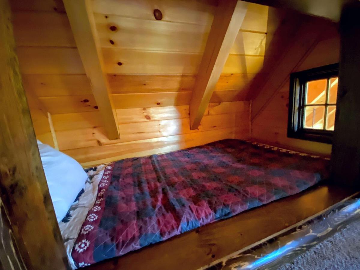 | BC Log cabin with private beach, river, fire pit, AC, wifi, onsite trails, ski slope views