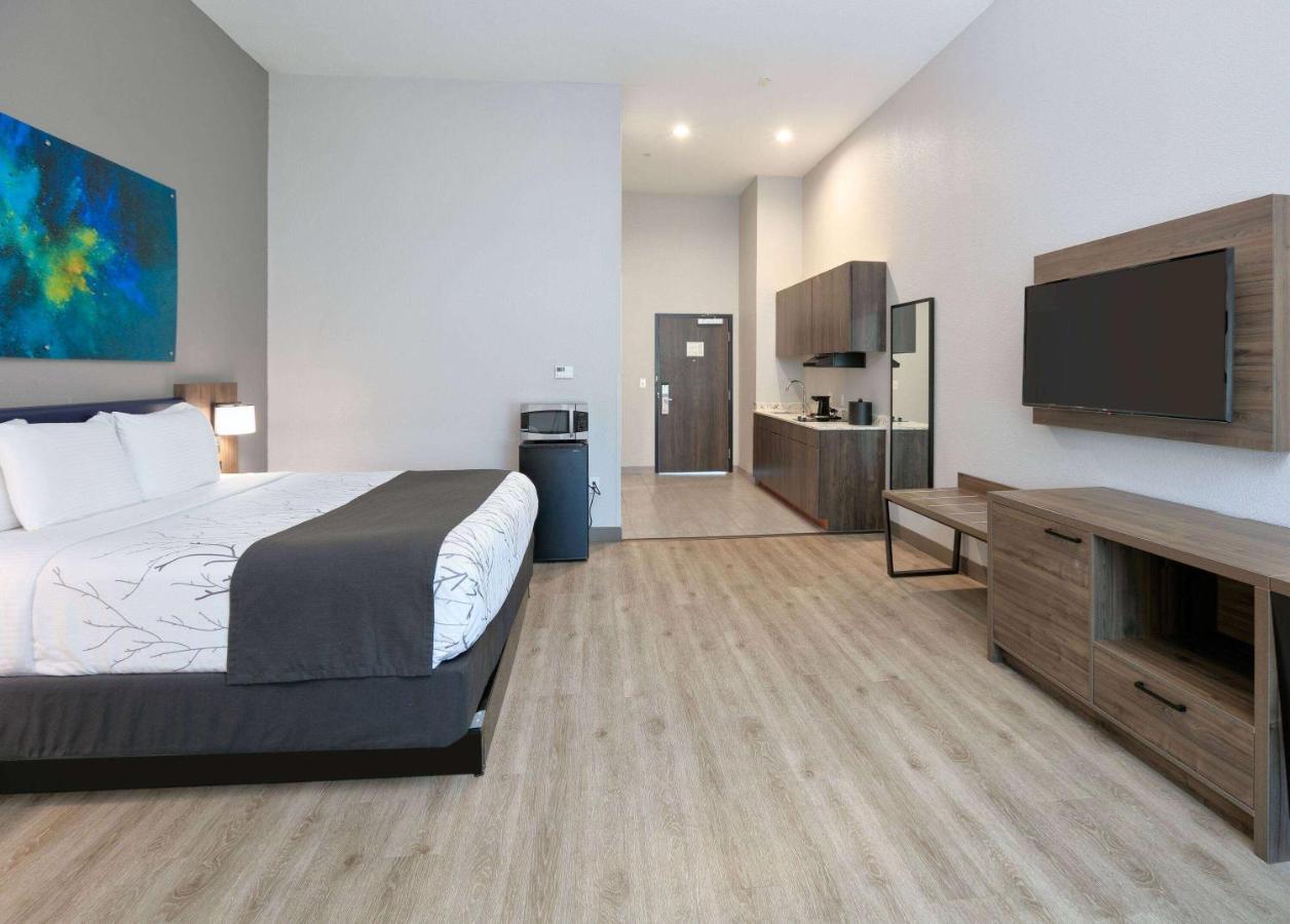 Deluxe King Room - Non-Smoking at La Quinta Inn & Suites by Wyndham Dallas/Fairpark