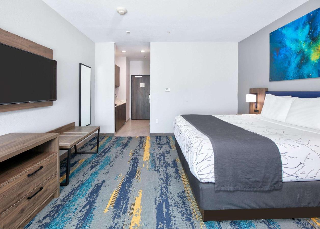 Premier King Room - Non-Smoking at La Quinta Inn & Suites by Wyndham Dallas/Fairpark