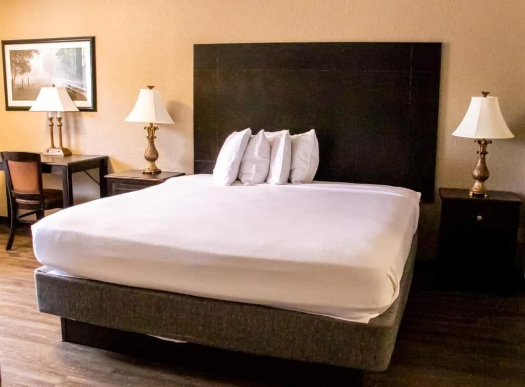 Standard King Room - Non Smoking at Extended Stay Inn & Suites Marion I-57
