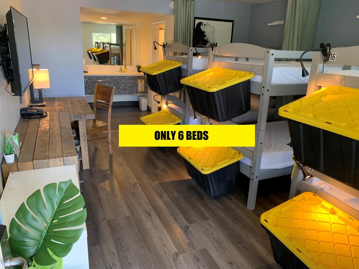 Bed in 6-Bed Female Shared Room at Bposhtels Las Vegas
