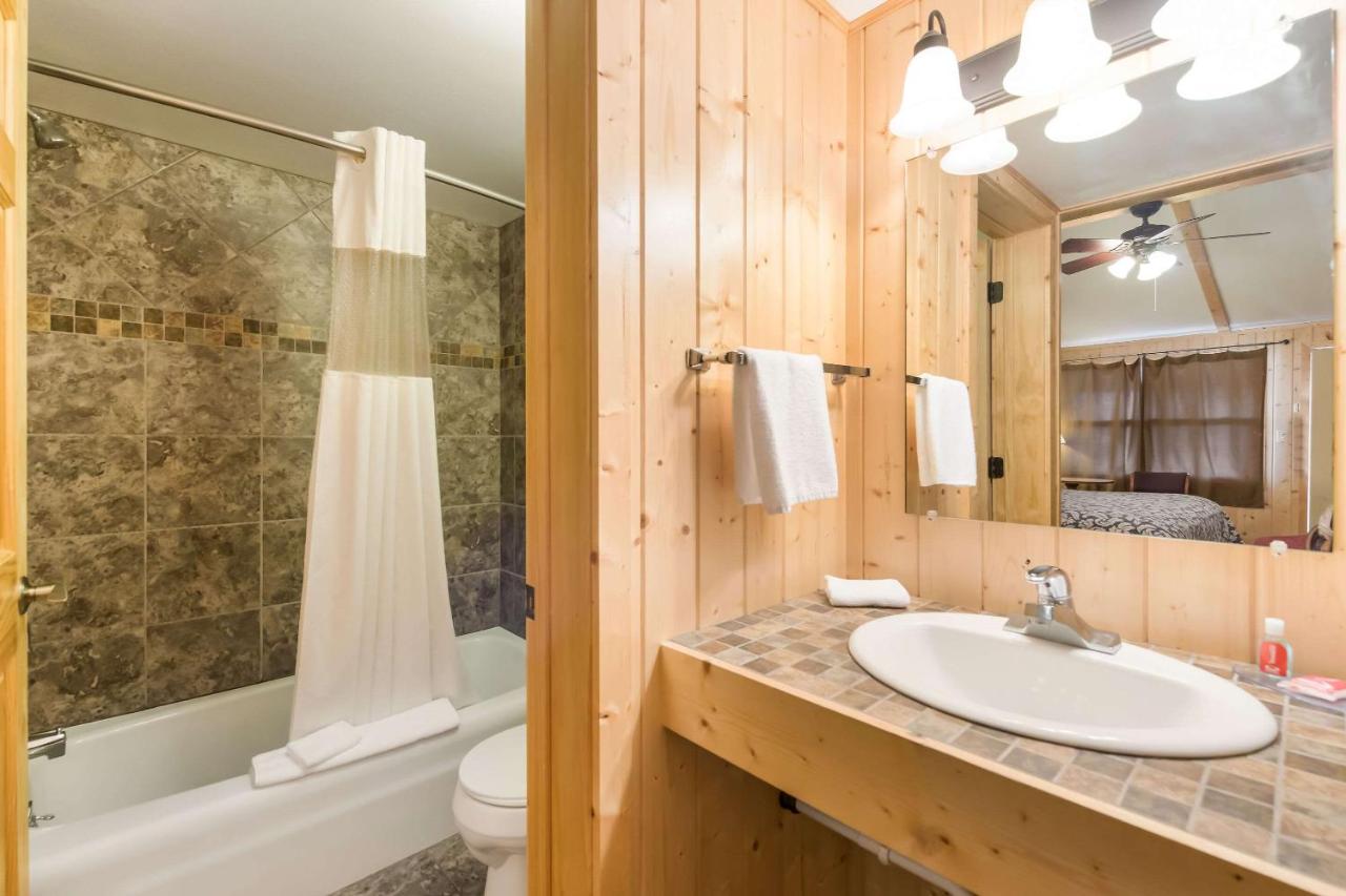 King Room Pet Friendly - Accessible/Non Smoking at Econo Lodge Rice Lake