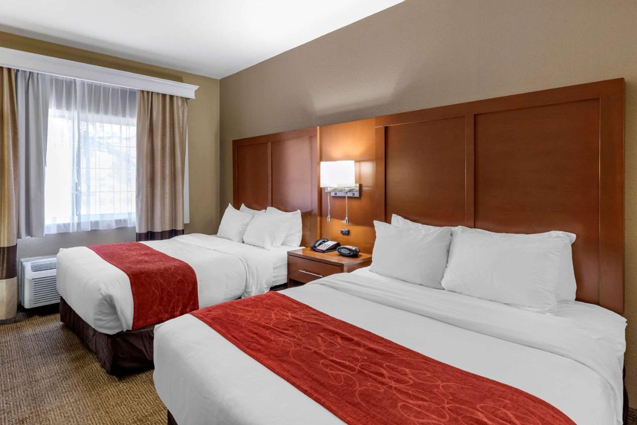 Business Suite - Disability Access/Non-Smoking at Comfort Suites Fort Collins Near University