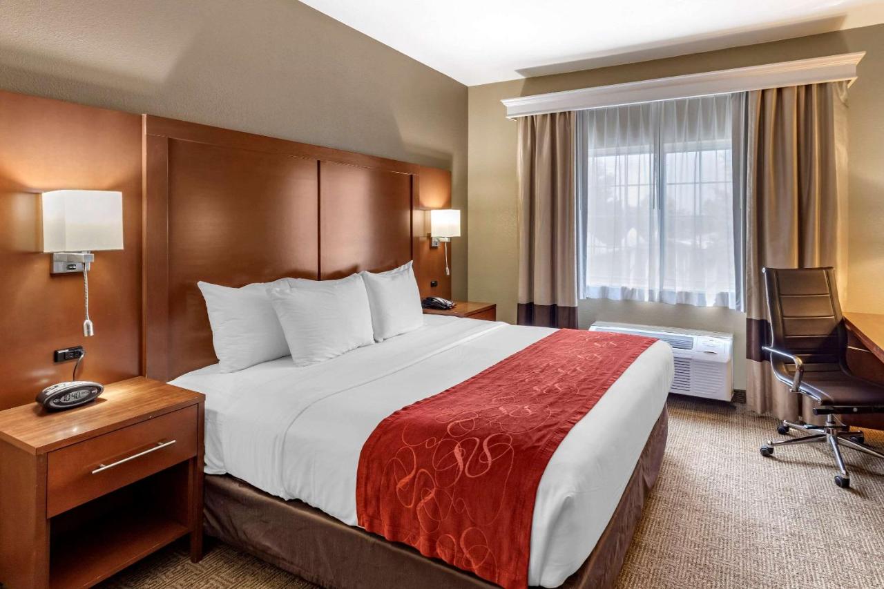 King Suite - Non-Smoking at Comfort Suites Fort Collins Near University