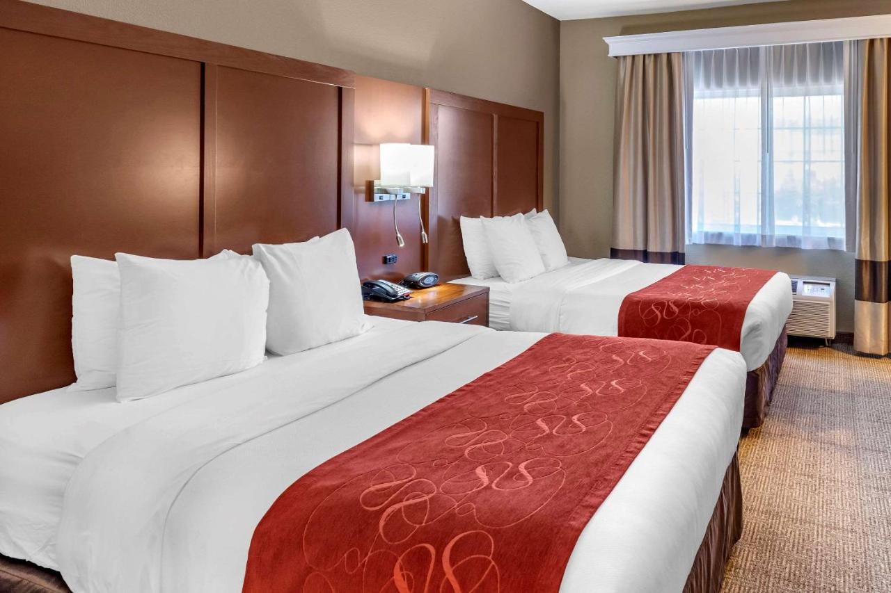 Queen Suite with Two Queen Beds - Non Smoking at Comfort Suites Fort Collins Near University