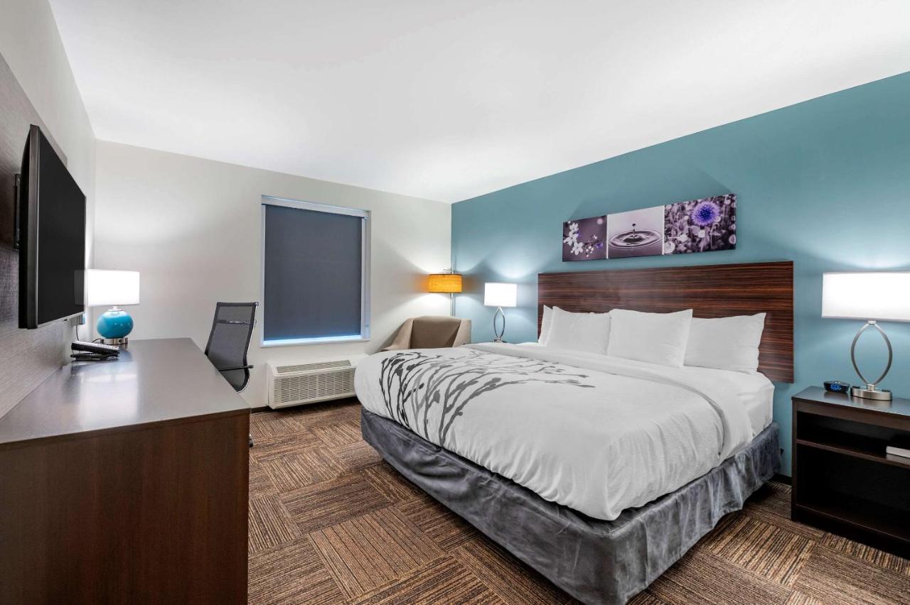 Standard King Room - Non Smoking at Sleep Inn