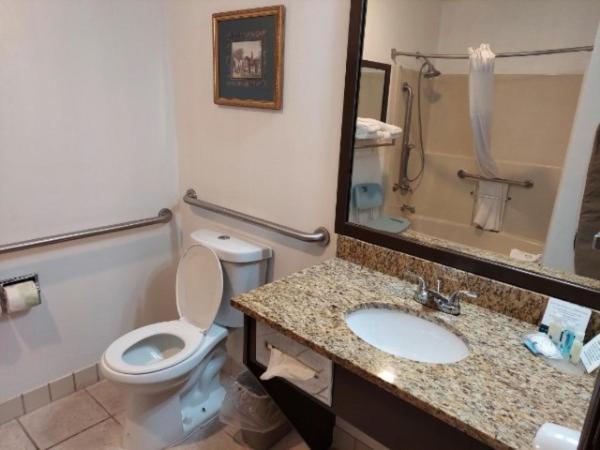 King Room Newer Room- Accessible/Non-Smoking at Quality Inn