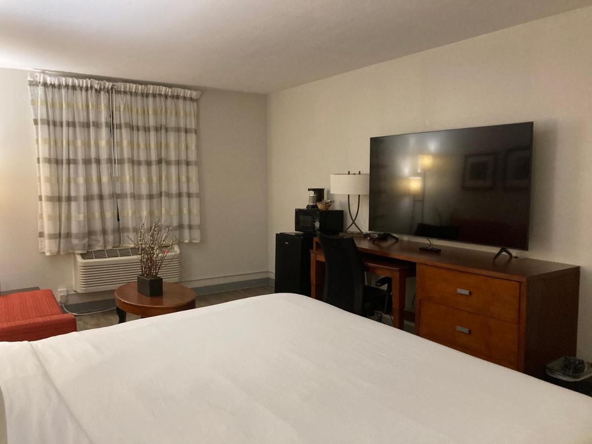 The Hotel Orange