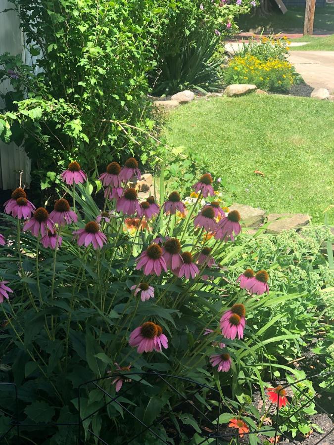 | Ottaway Inn LLC