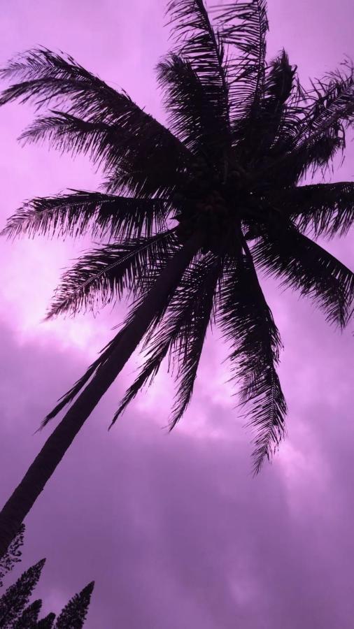 | Hawaii Island Resort