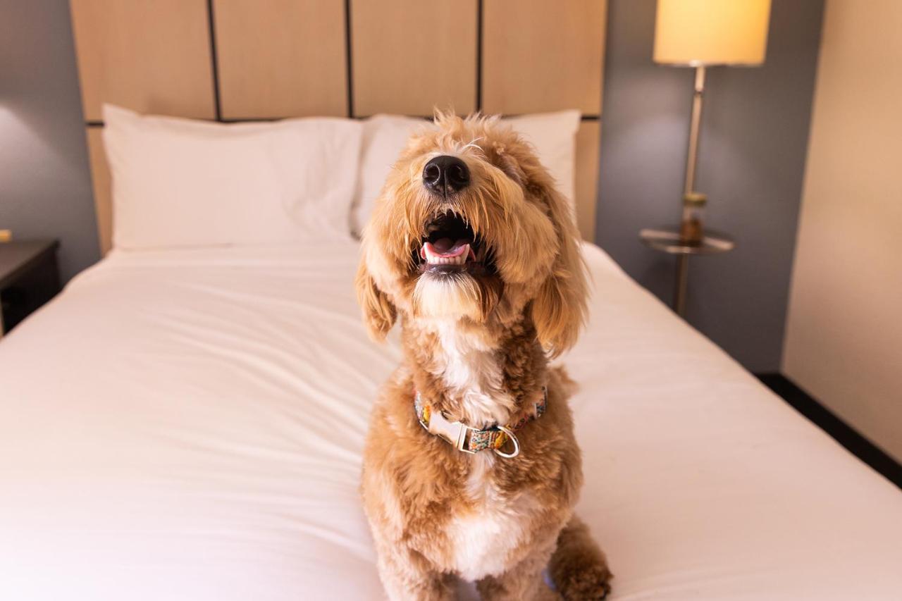 | Sonesta Simply Suites St Louis Earth City