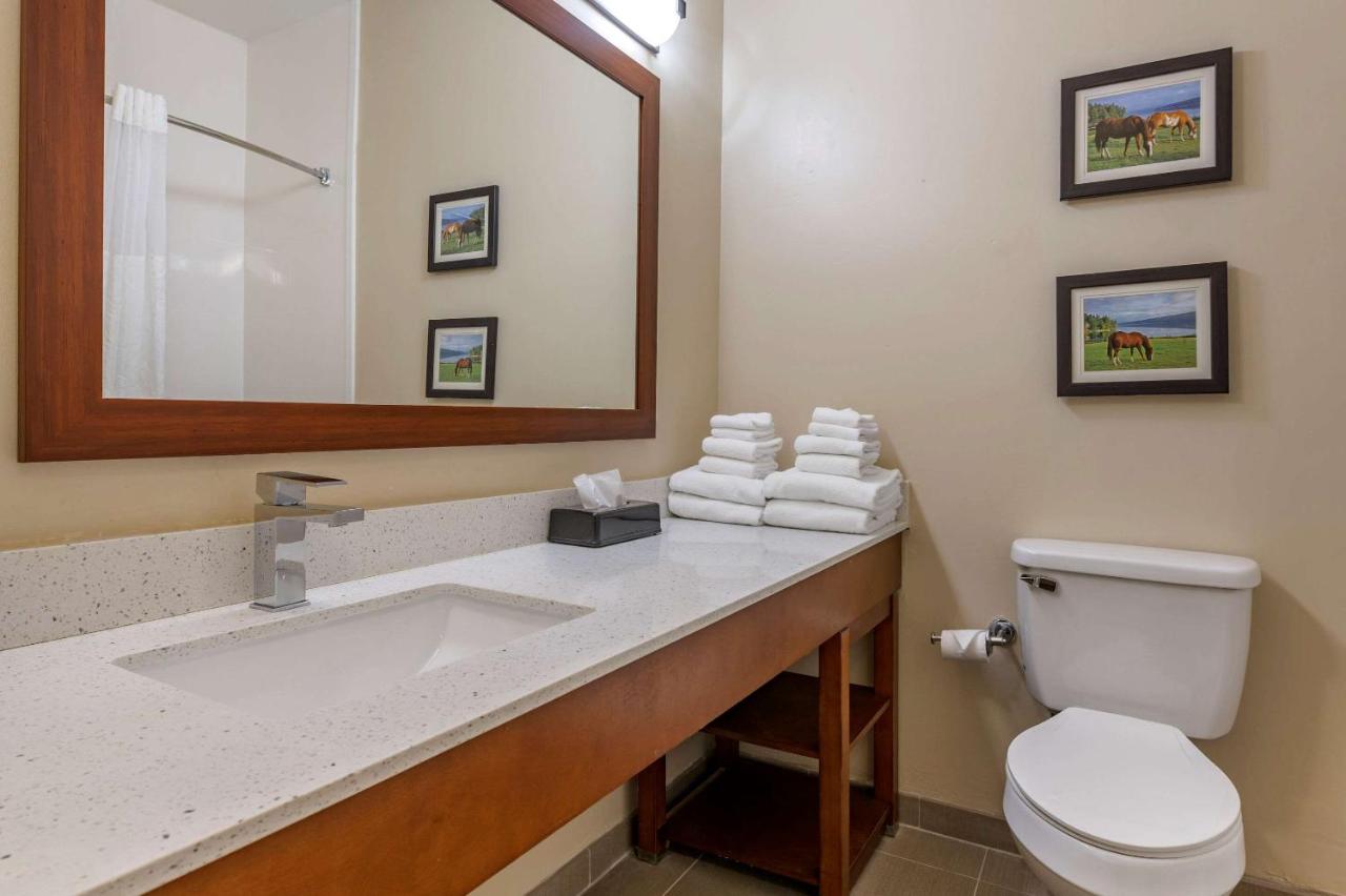 Queen Suite - Non-Smoking at Comfort Suites Keeneland