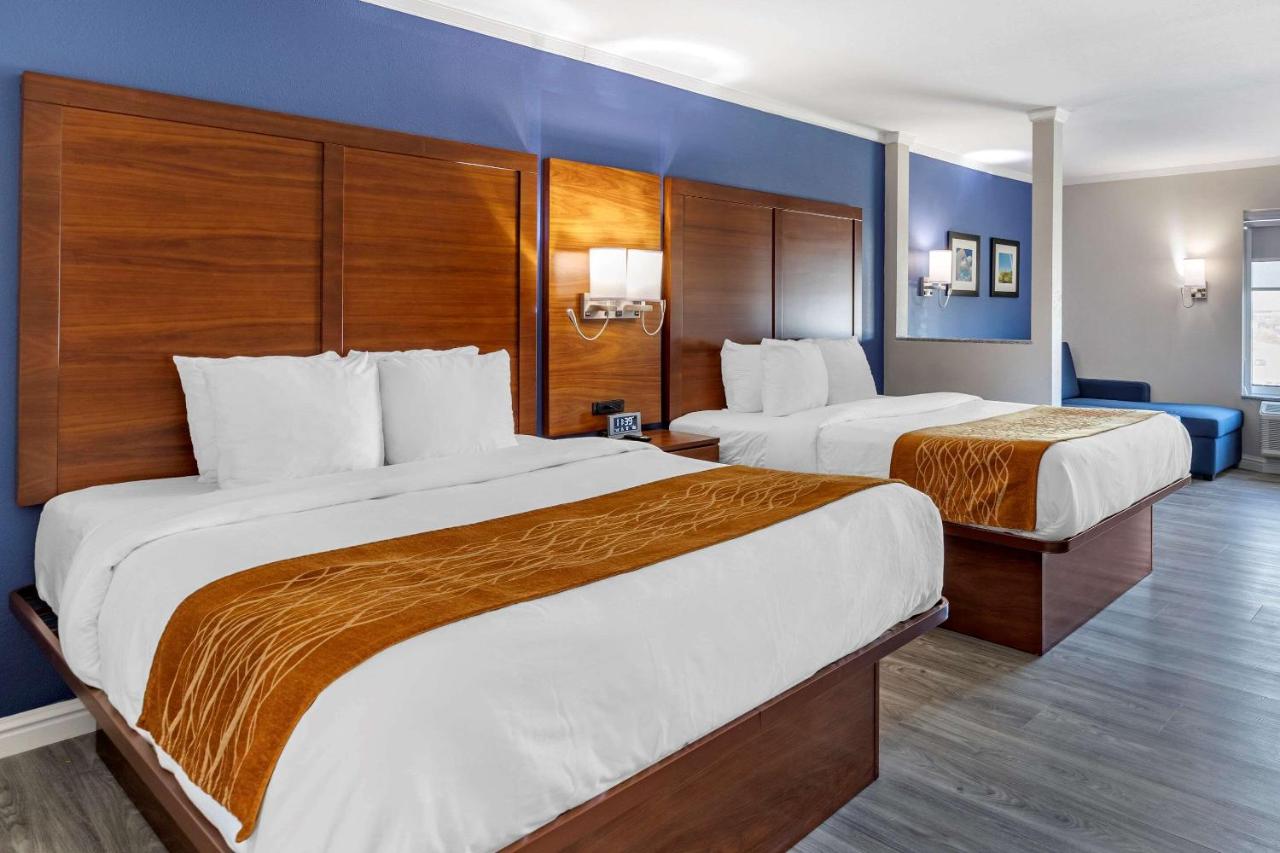 | Comfort Suites St Louis - Sunset Hills