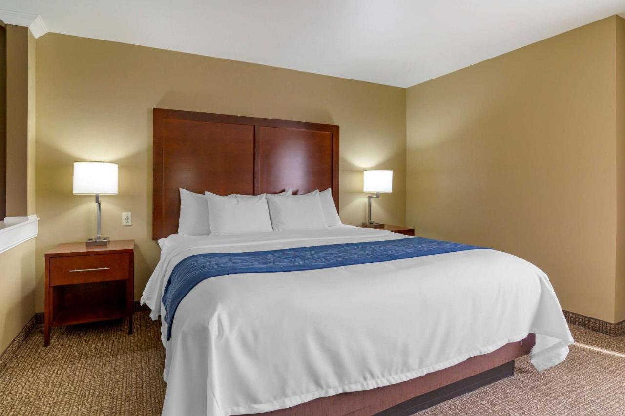 King Suite with Sofa Bed at Comfort Inn & Suites Mandan - Bismarck
