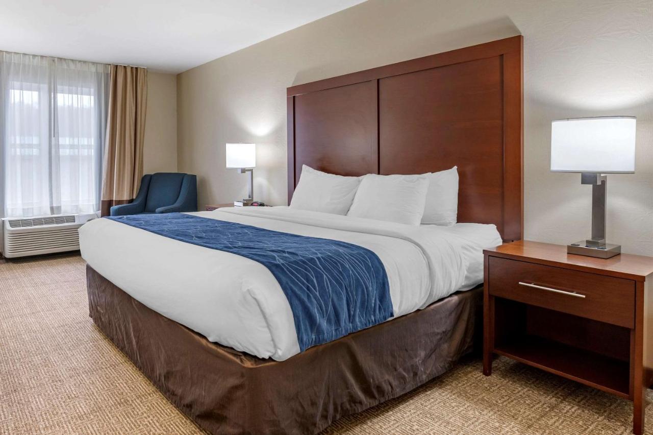King Room at Comfort Inn & Suites Northern Kentucky