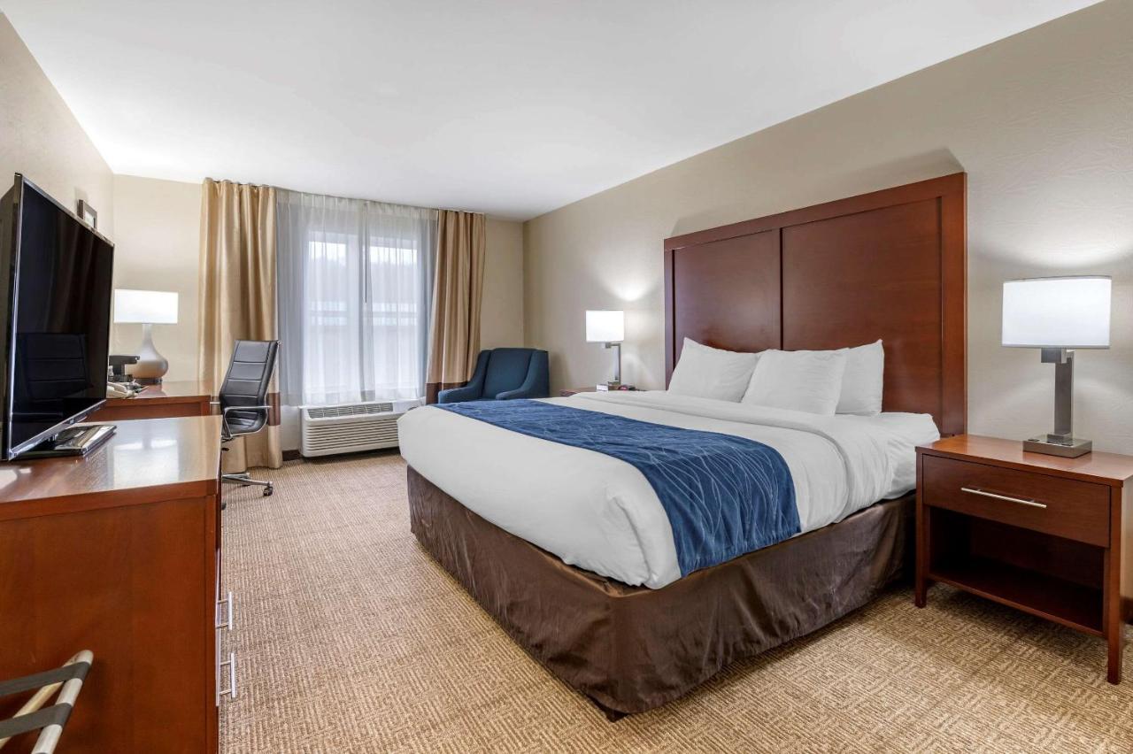 King Room at Comfort Inn & Suites Northern Kentucky