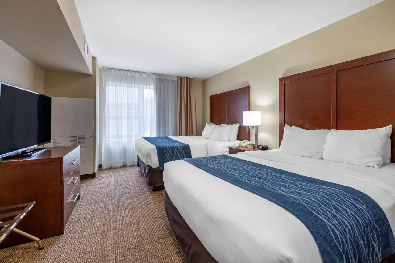 Queen Suite with Two Queen Beds and Sofa Bed at Comfort Inn & Suites Northern Kentucky