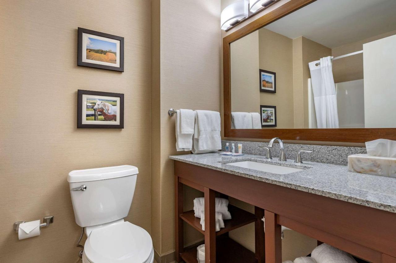 King Suite with Sofa Bed at Comfort Inn & Suites Northern Kentucky