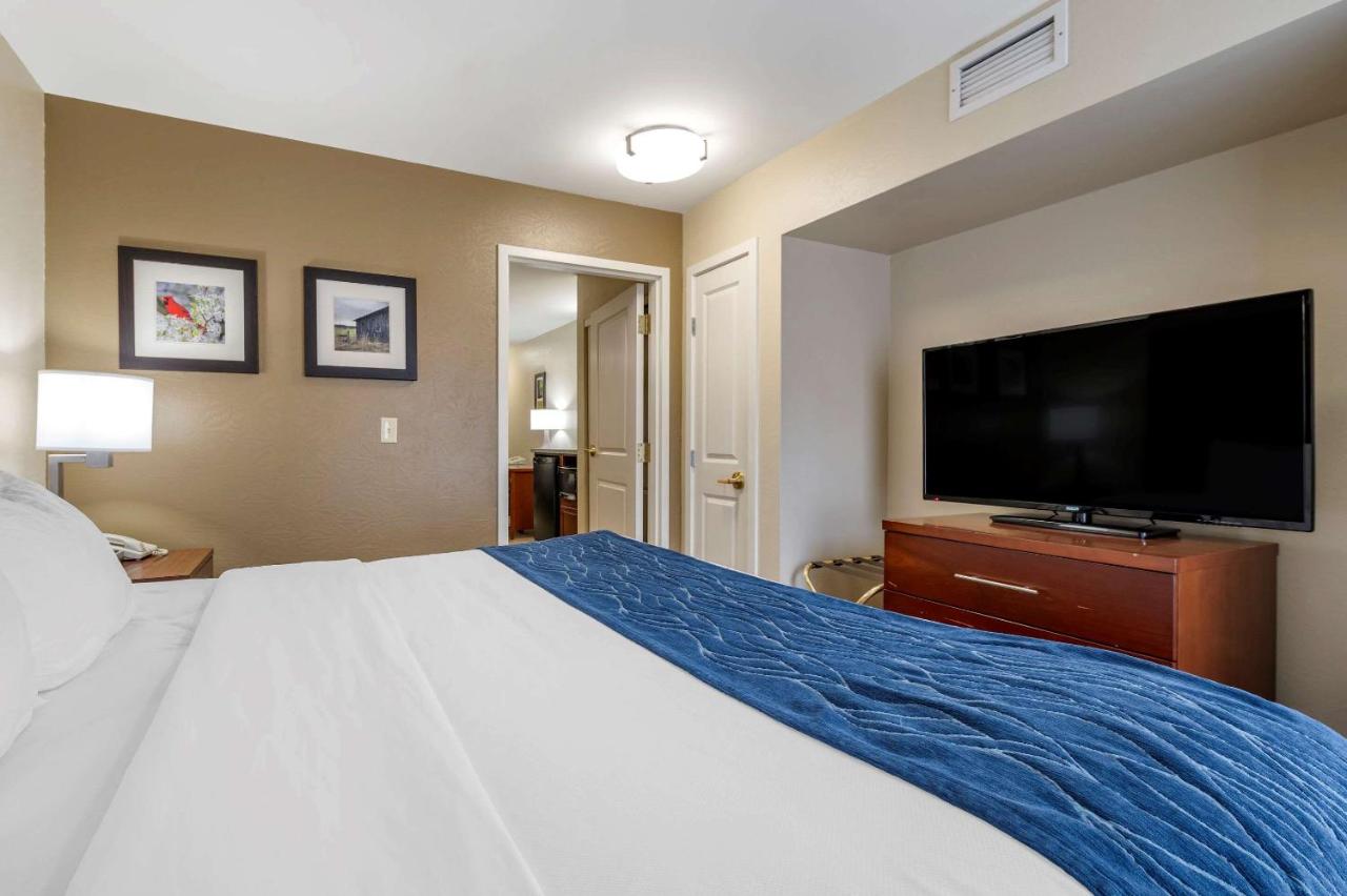 King Suite with Sofa Bed at Comfort Inn & Suites Northern Kentucky
