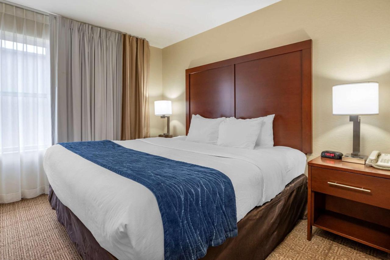 King Suite with Sofa Bed at Comfort Inn & Suites Northern Kentucky