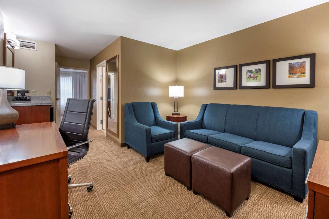 King Suite with Sofa Bed at Comfort Inn & Suites Northern Kentucky