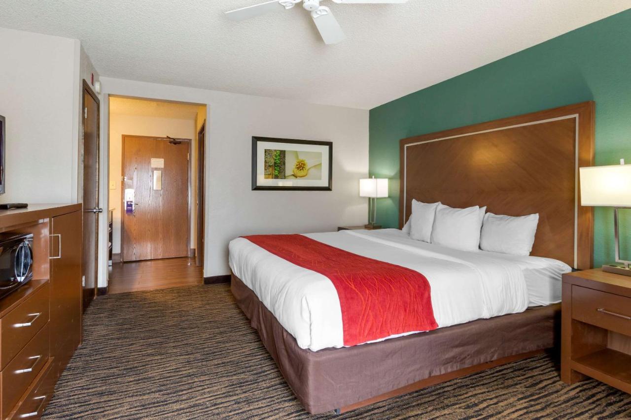 King Room - Non-Smoking at Comfort Inn West Valley Salt Lake City South