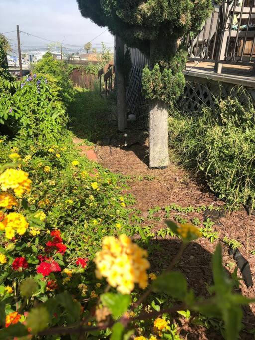  | Special Studio in Center of San Diego