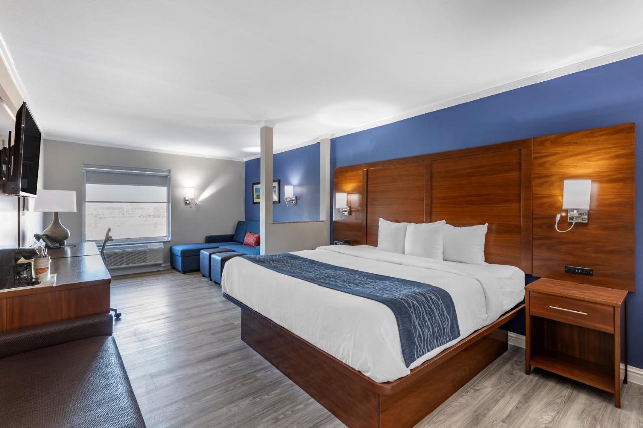 | Comfort Suites St Louis - Sunset Hills
