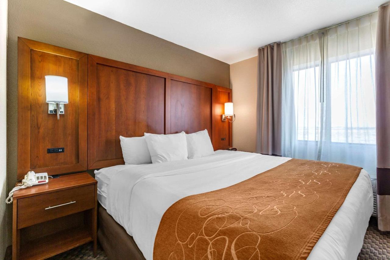 Standard King Suite - Non-Smoking at Comfort Suites Hobbs