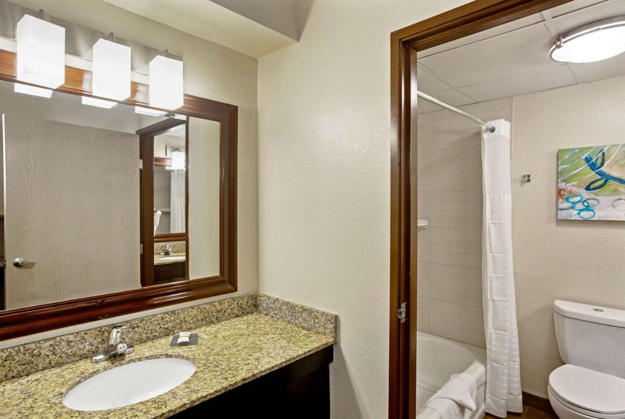 King Suite with Sofa Bed - Non Smoking at Comfort Inn & Suites Sarasota I75