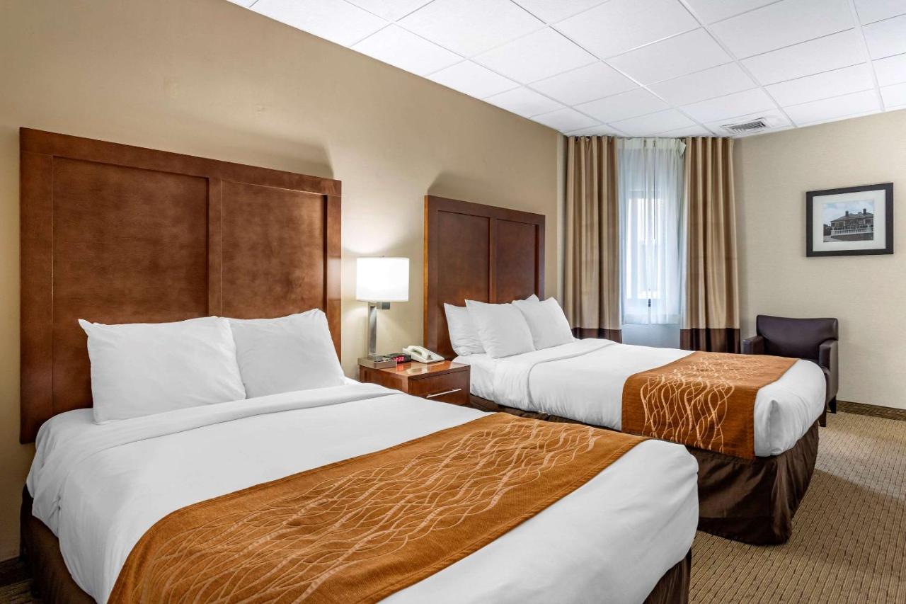 | Comfort Inn Syosset-Long Island