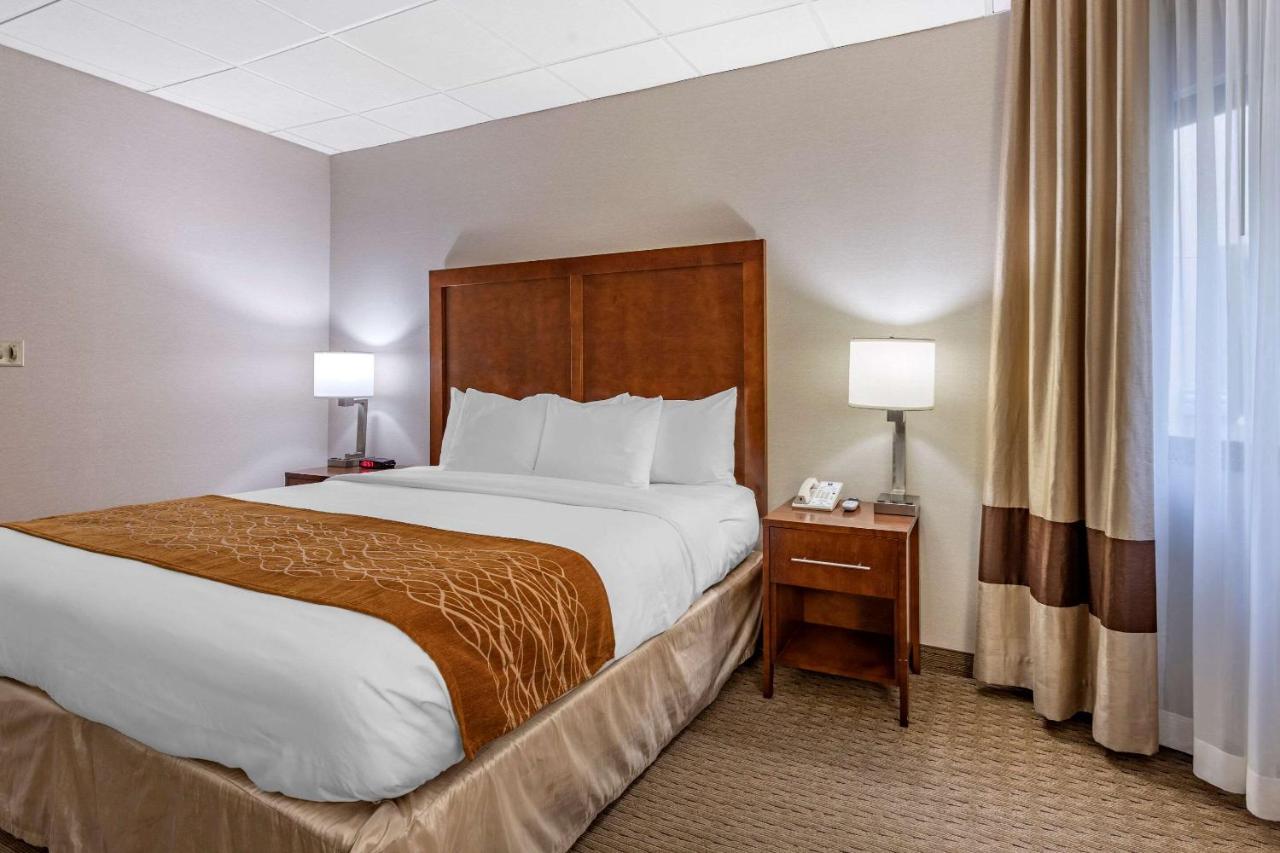 | Comfort Inn Syosset-Long Island