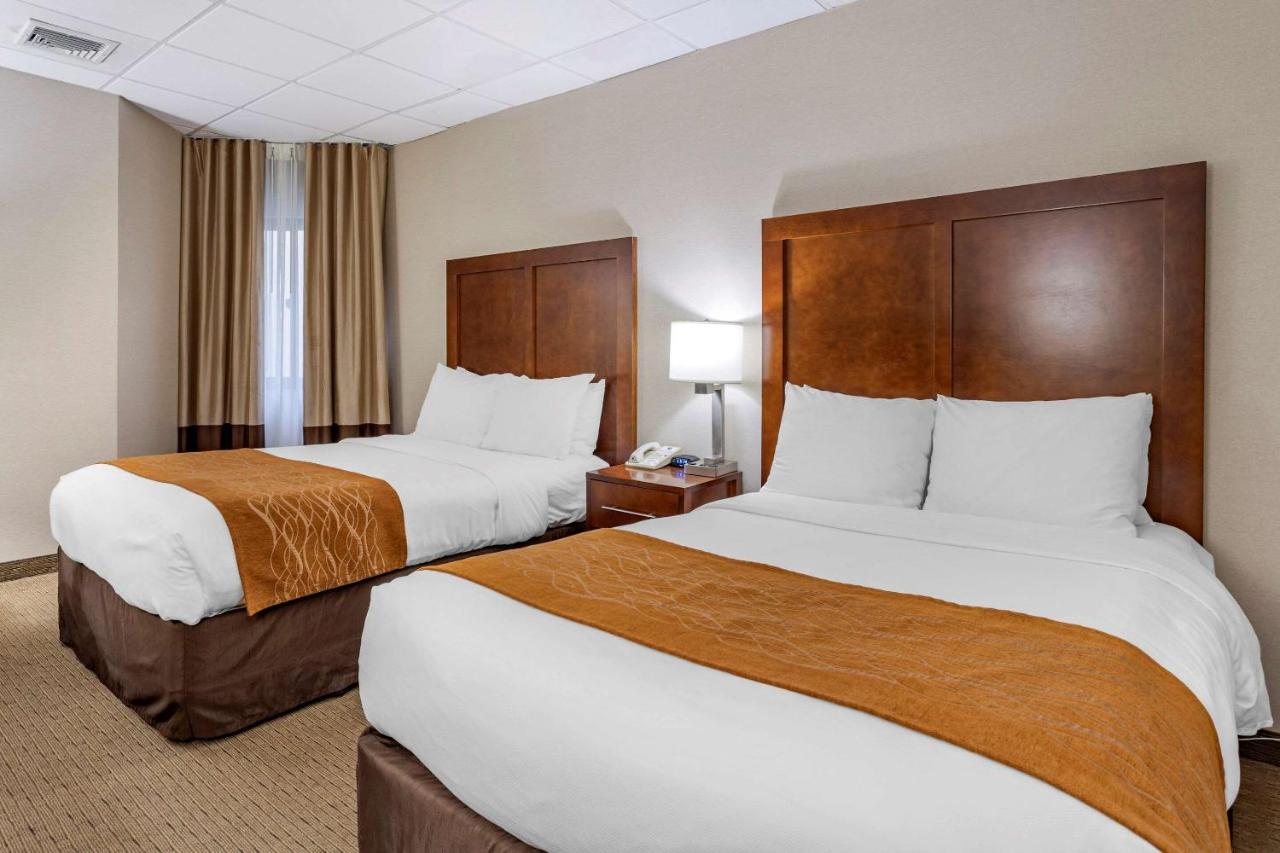 | Comfort Inn Syosset-Long Island